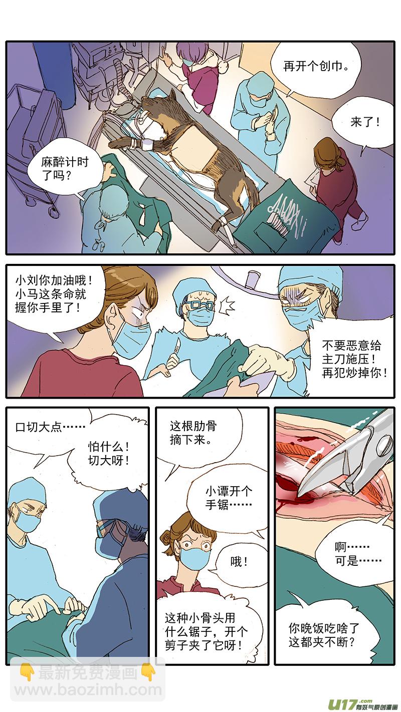 045 动脉导管未闭-第45话