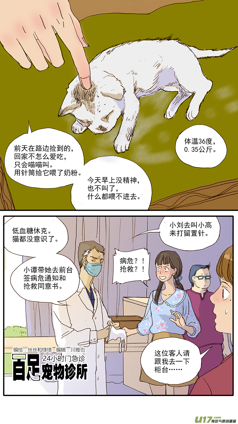 047 低血糖：奶猫到底吃什么？-第47话