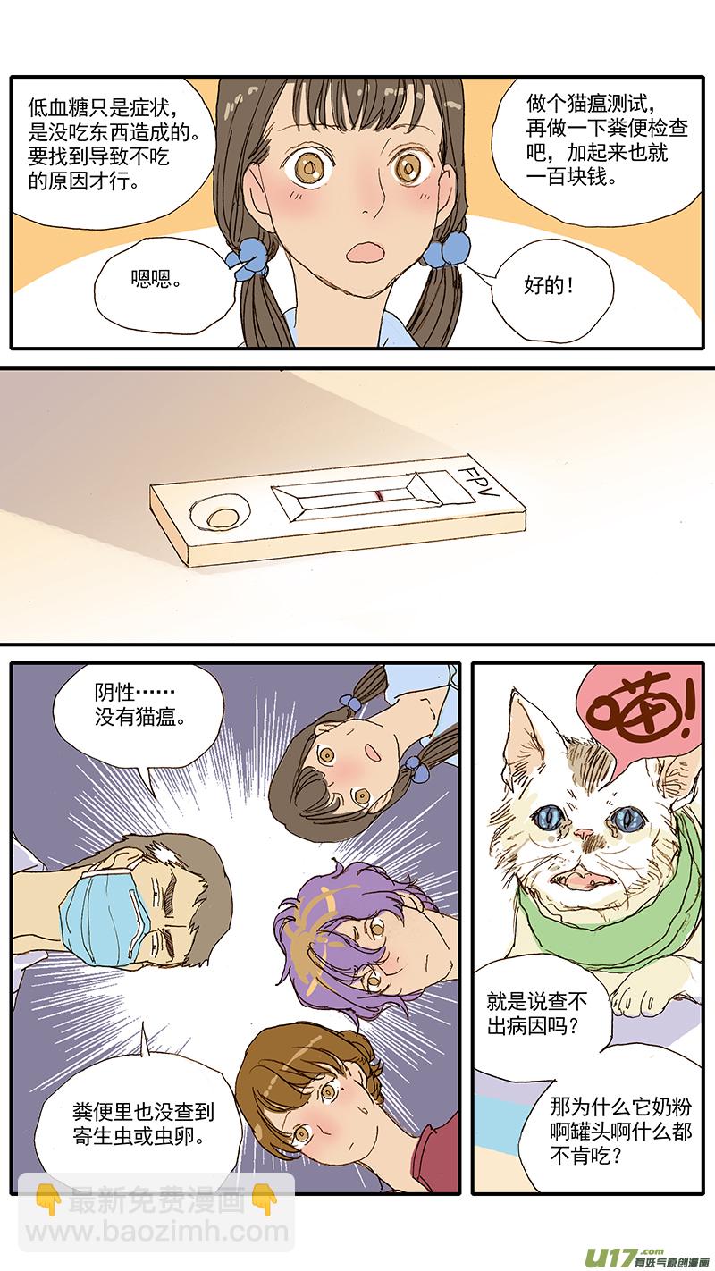047 低血糖：奶猫到底吃什么？-第47话