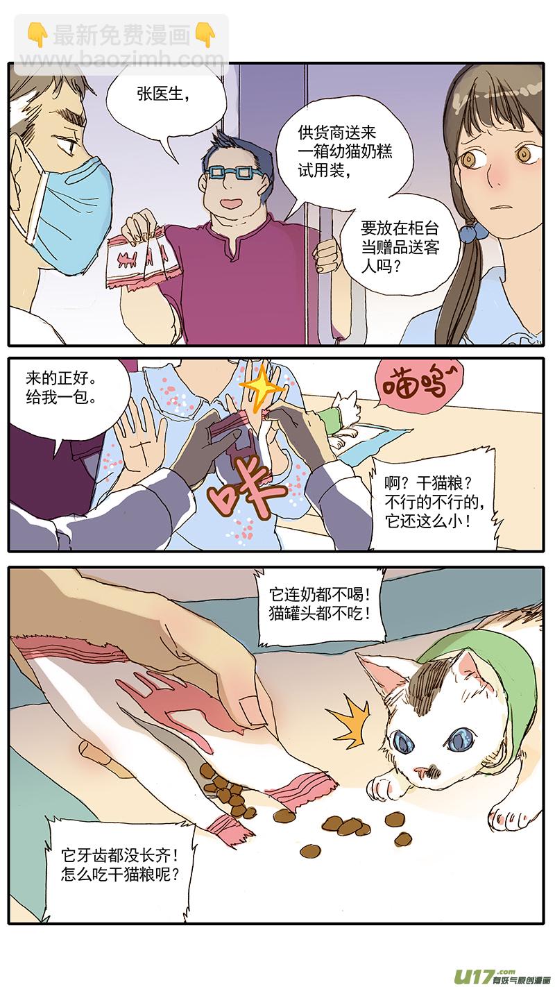 047 低血糖：奶猫到底吃什么？-第47话