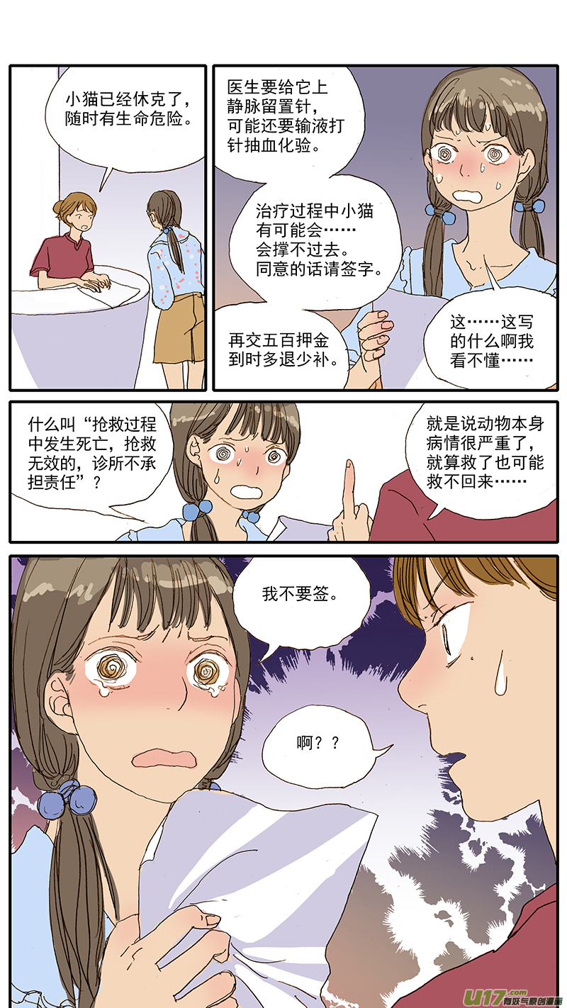 047 低血糖：奶猫到底吃什么？-第47话