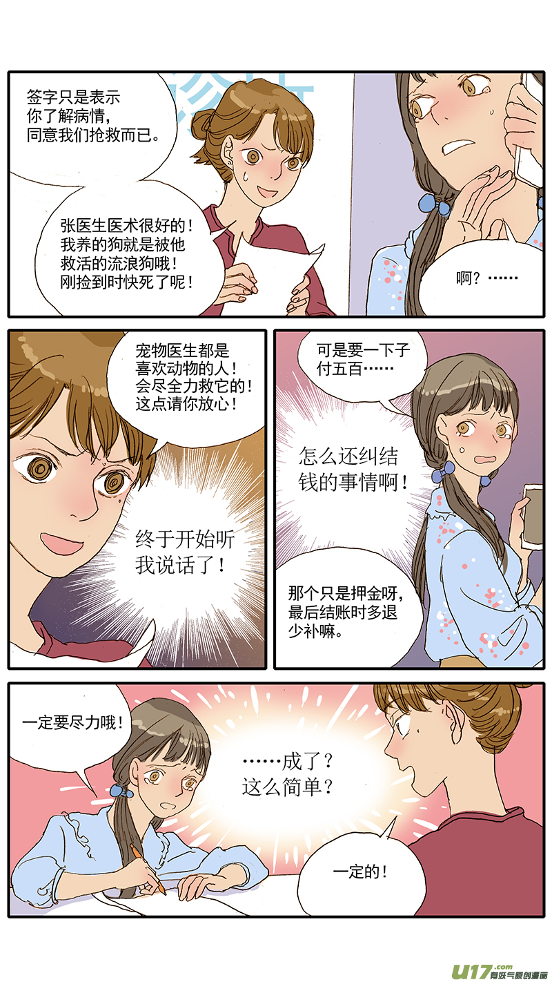 047 低血糖：奶猫到底吃什么？-第47话
