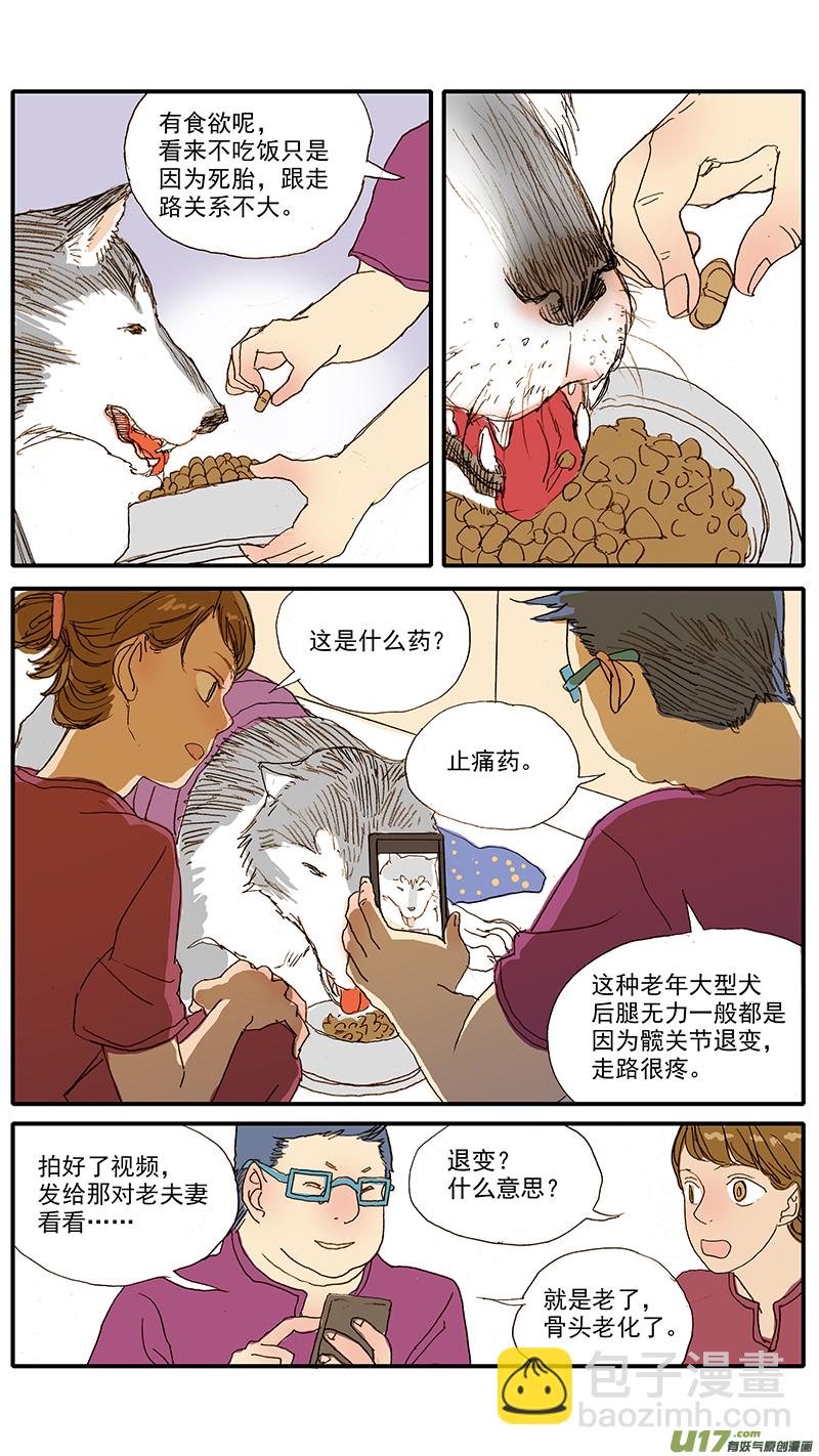 053 抗炎止痛药物-第53话