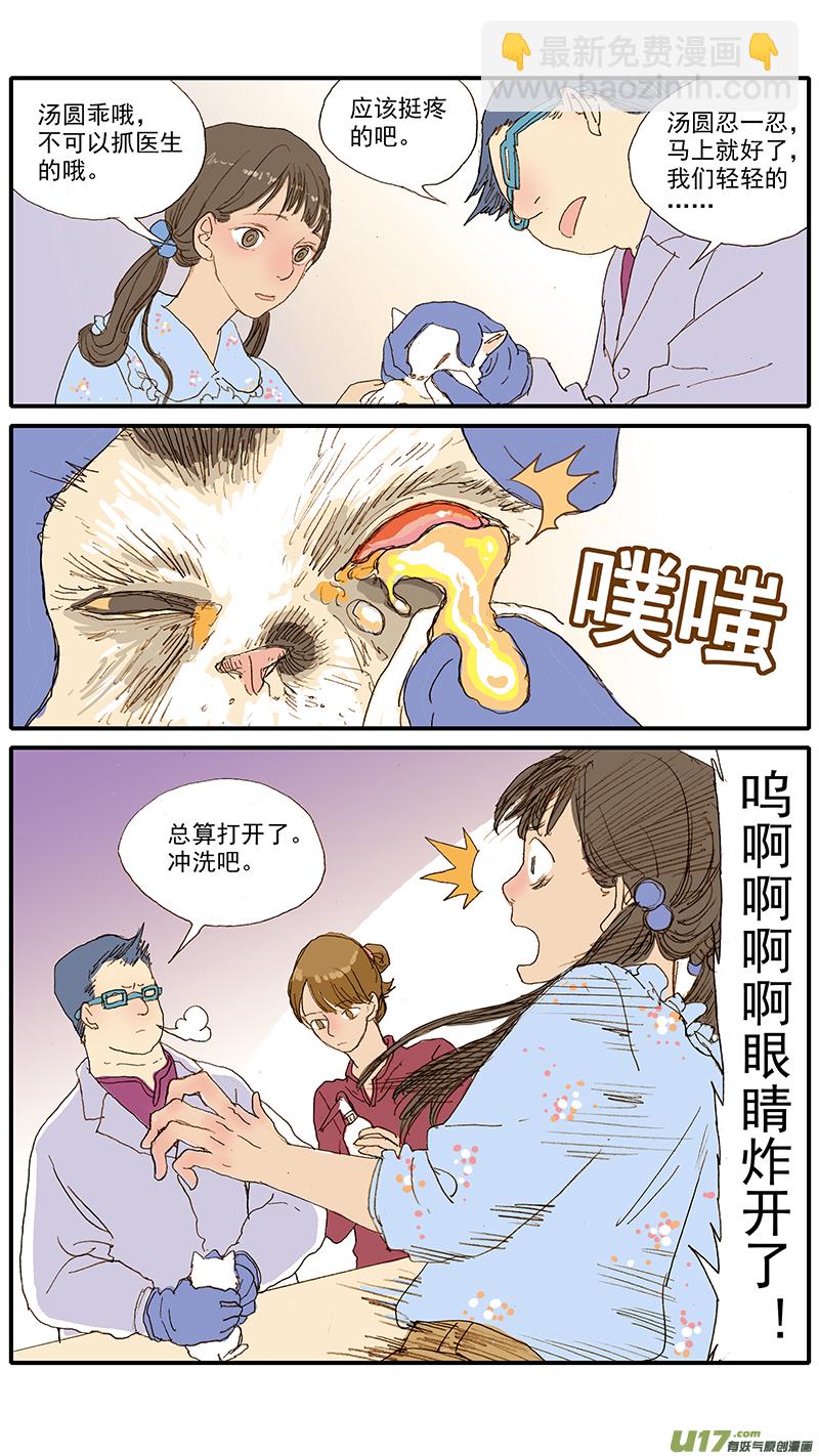 055 幼猫化脓性结膜炎-第55话