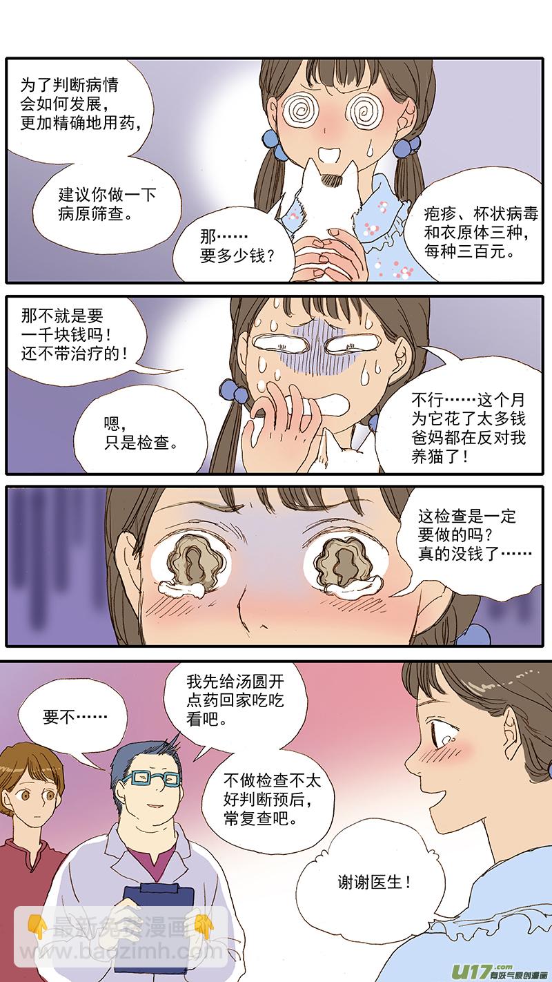 055 幼猫化脓性结膜炎-第55话