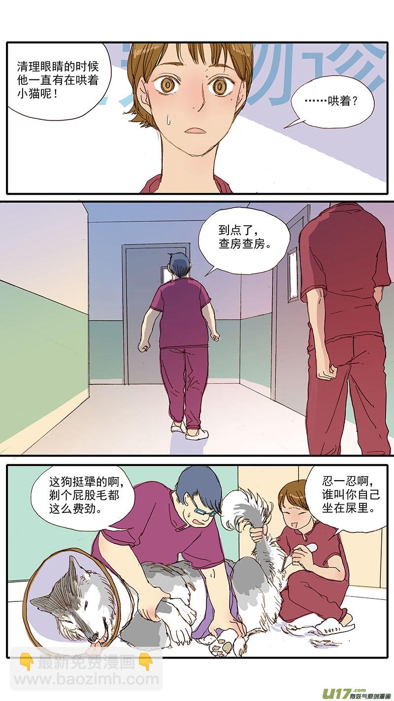 055 幼猫化脓性结膜炎-第55话