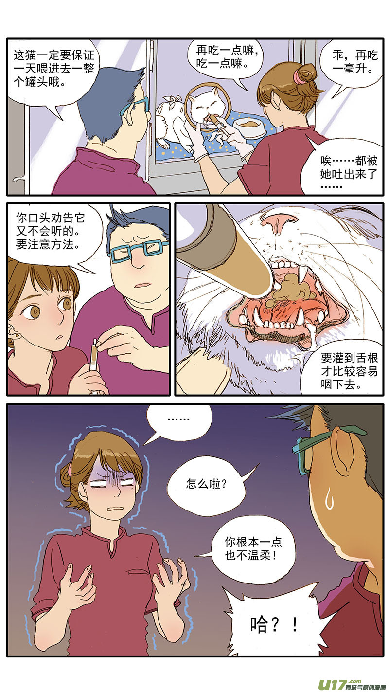 055 幼猫化脓性结膜炎-第55话