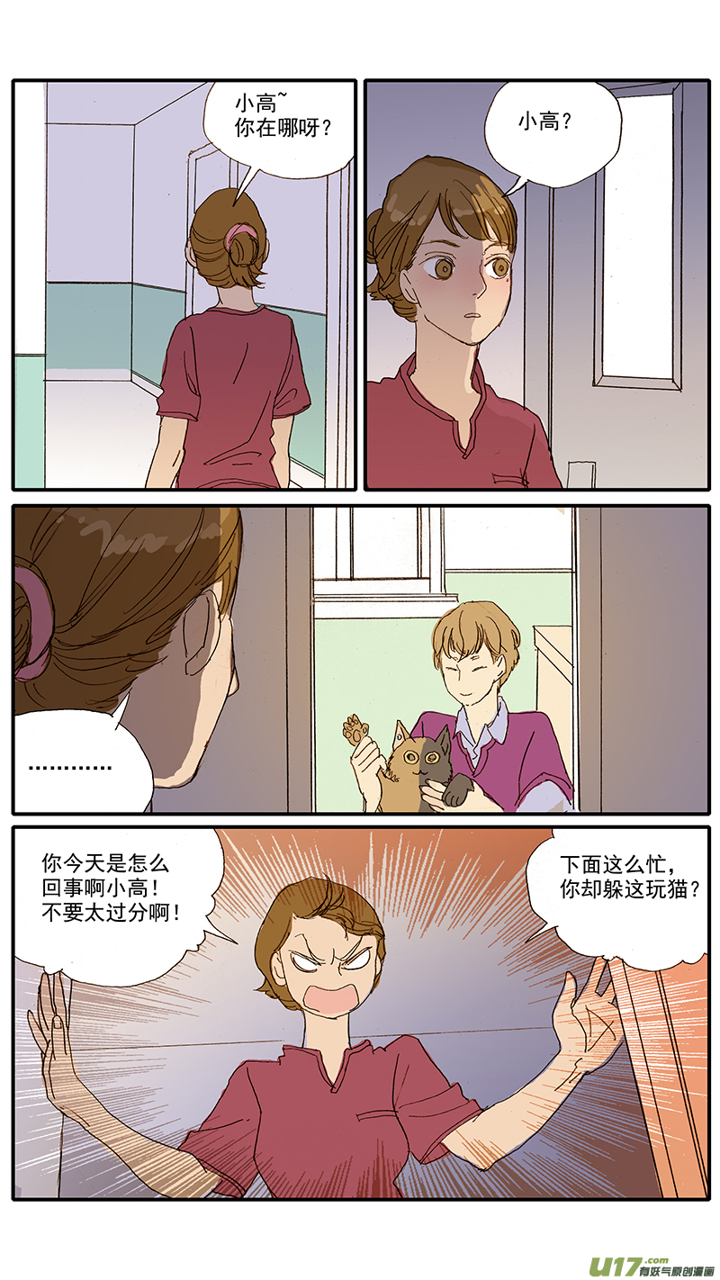 061 犬小孢子菌（猫癣）-第61话