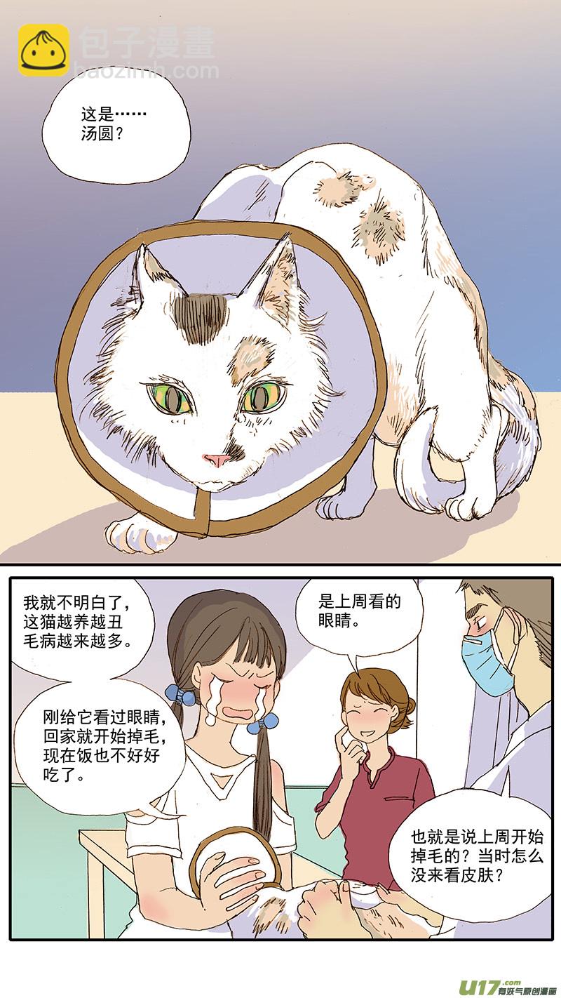 061 犬小孢子菌（猫癣）-第61话