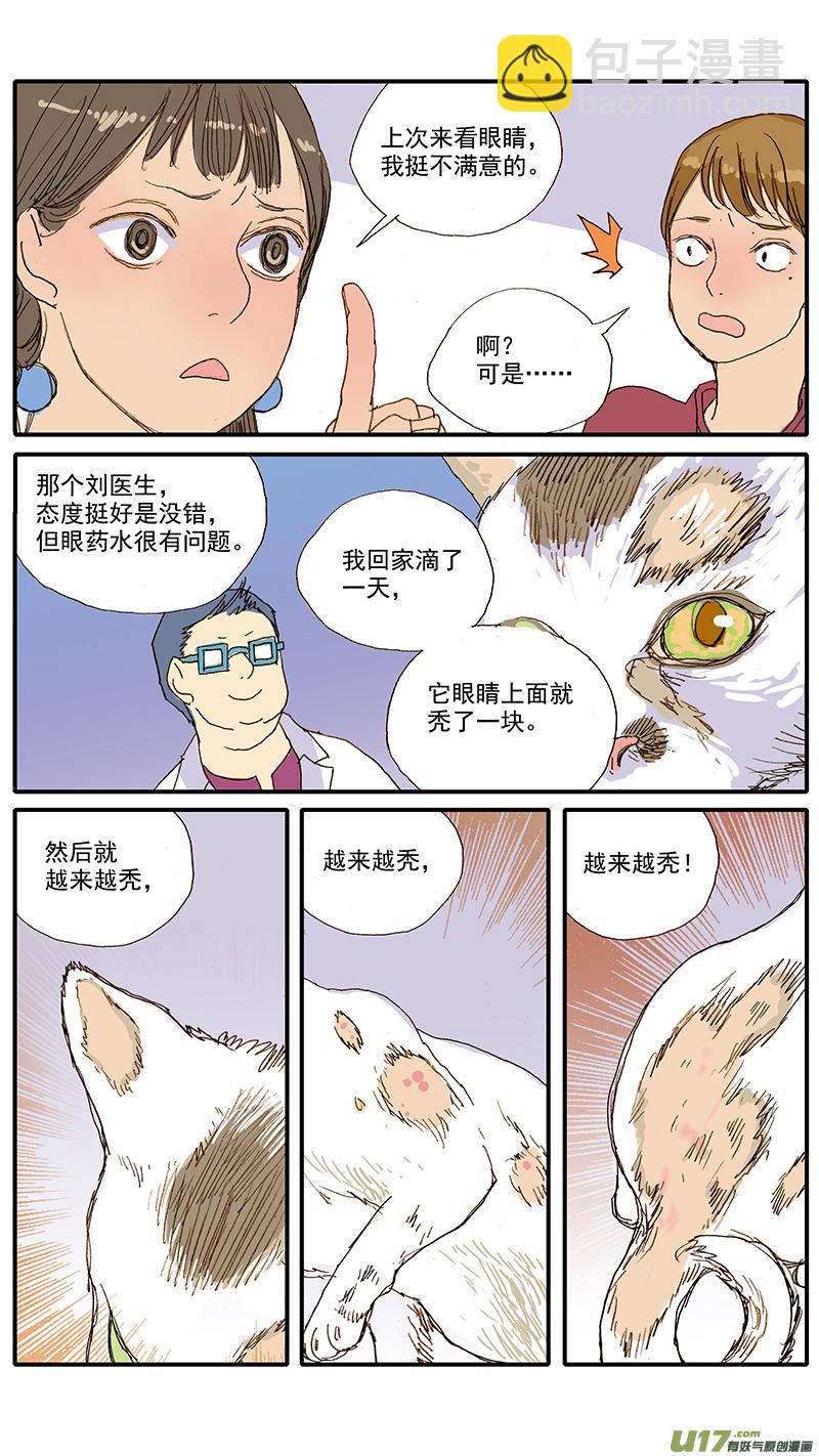 061 犬小孢子菌（猫癣）-第61话