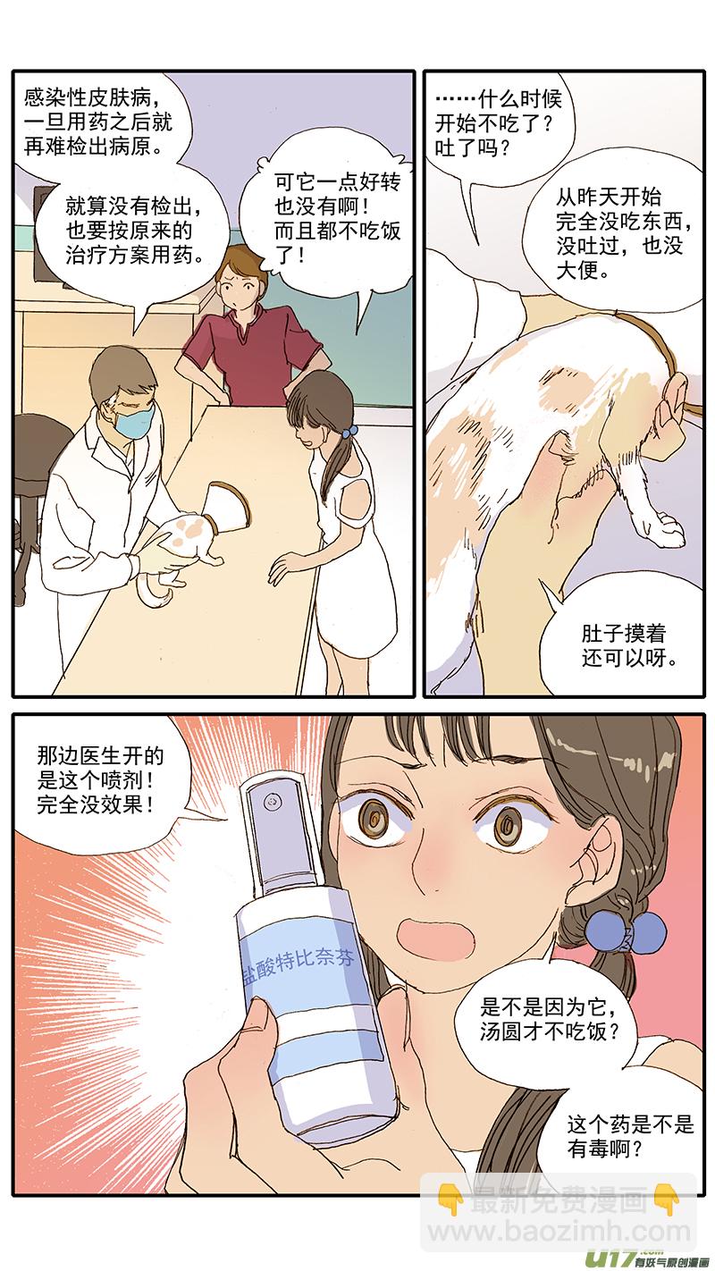 061 犬小孢子菌（猫癣）-第61话
