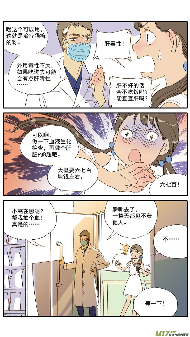 061 犬小孢子菌（猫癣）-第61话