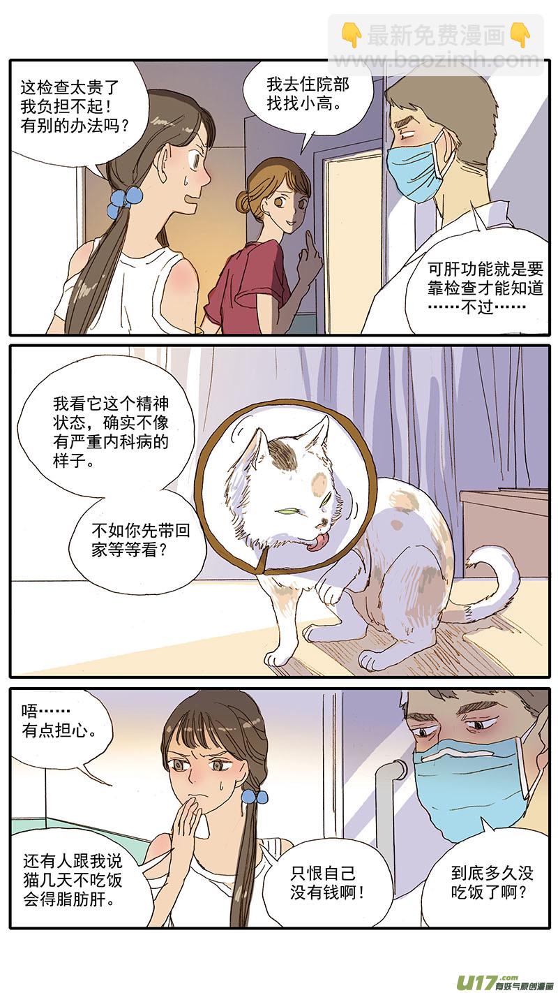 061 犬小孢子菌（猫癣）-第61话