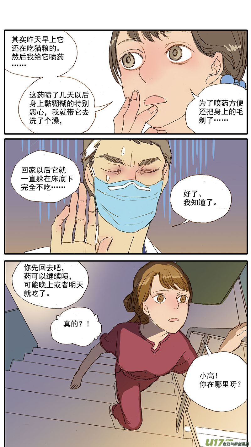 061 犬小孢子菌（猫癣）-第61话