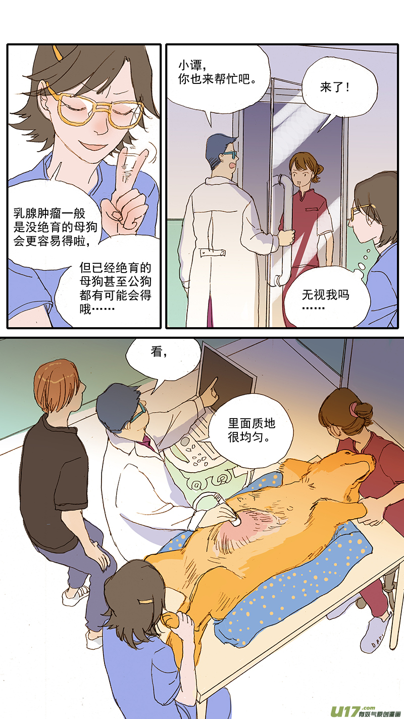 063 肥大细胞瘤-第63话