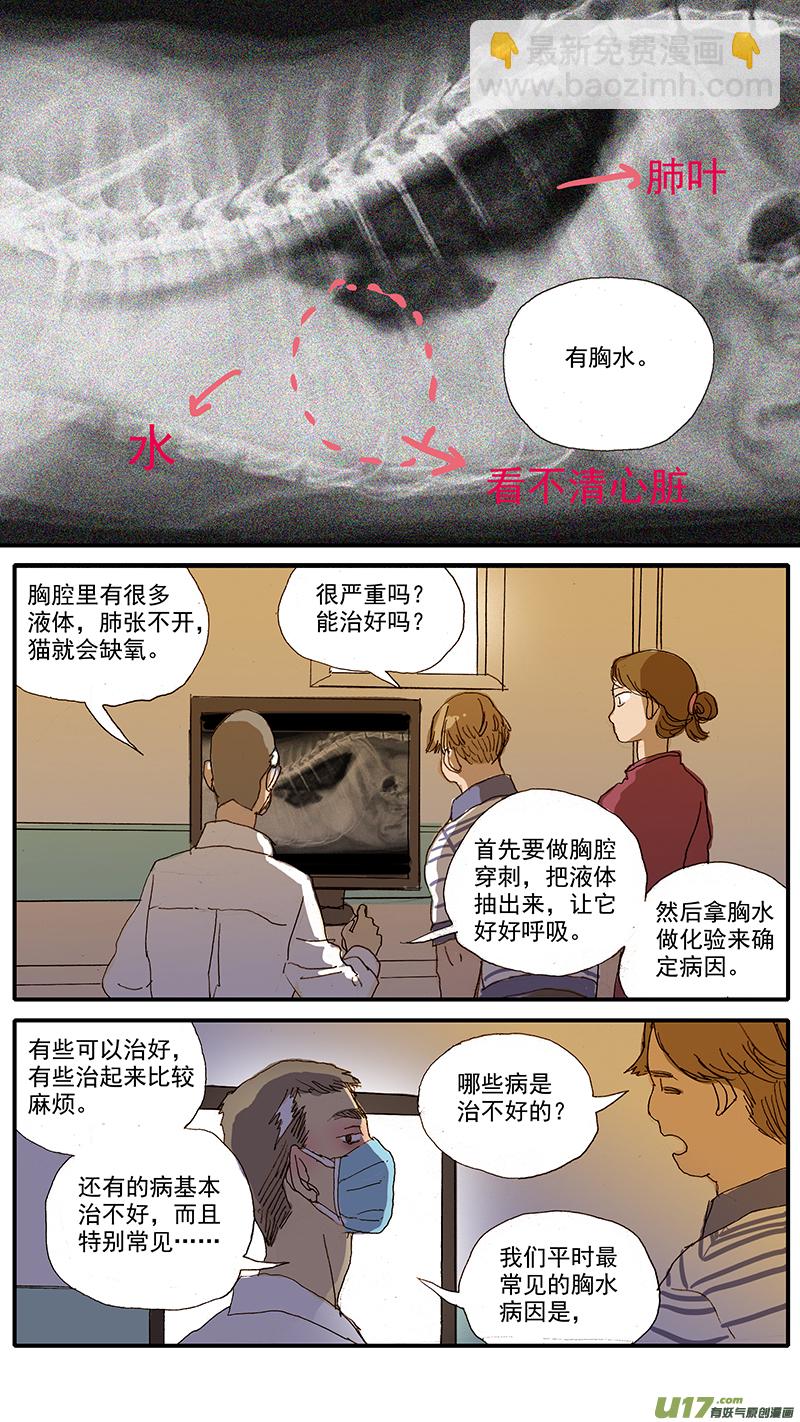 065 猫胸腔积液-第65话