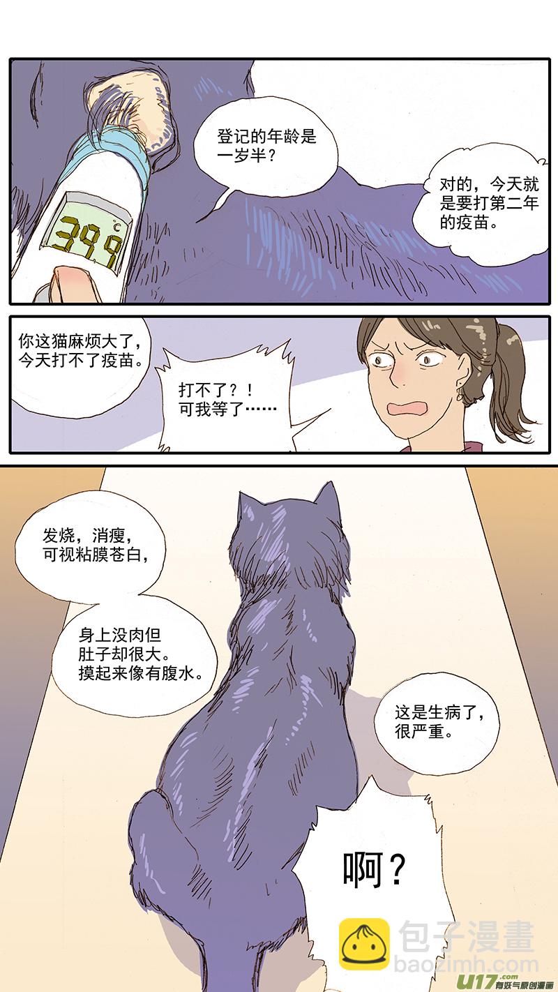 065 猫胸腔积液-第65话