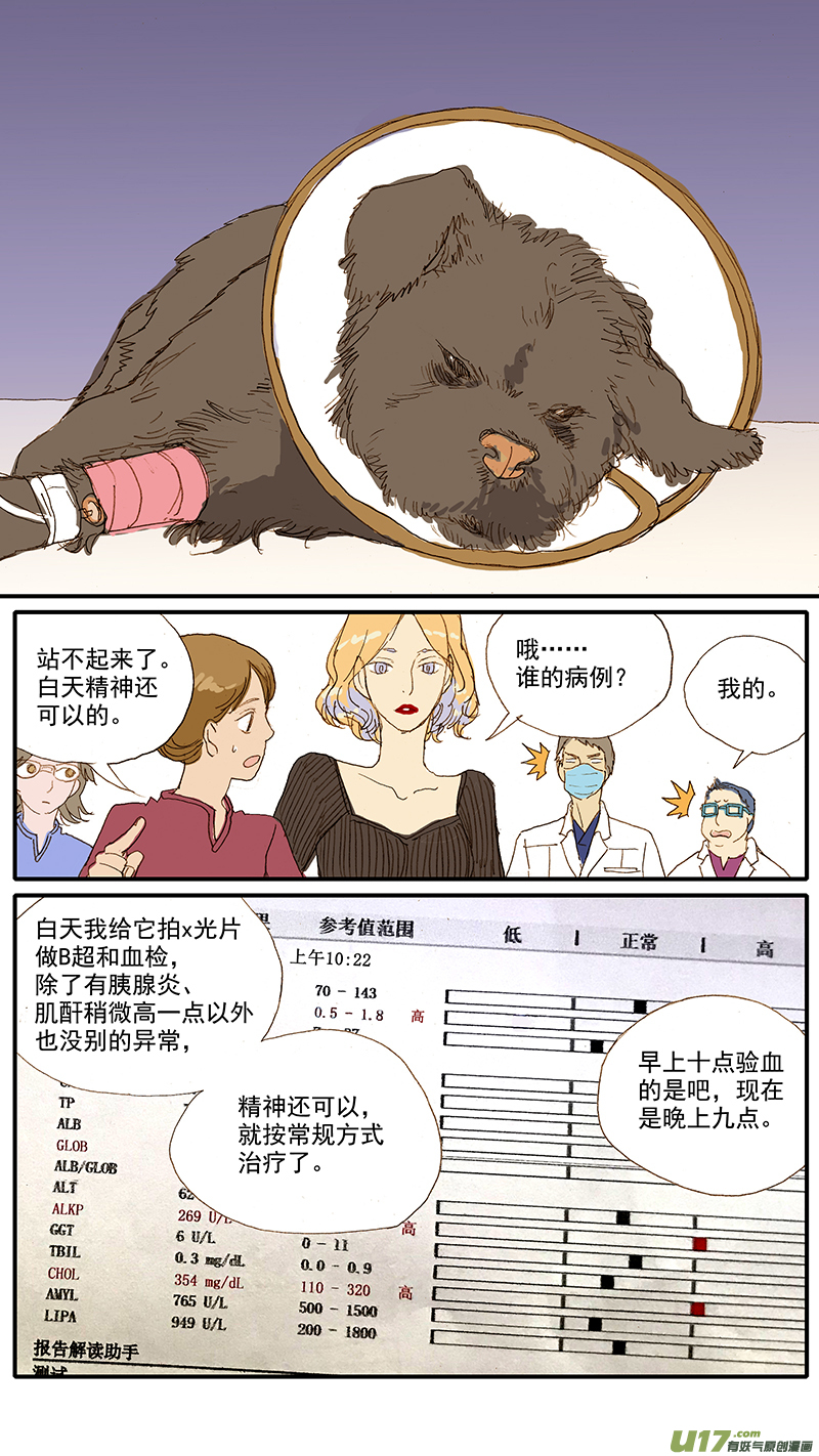 069 犬胰腺炎-第69话