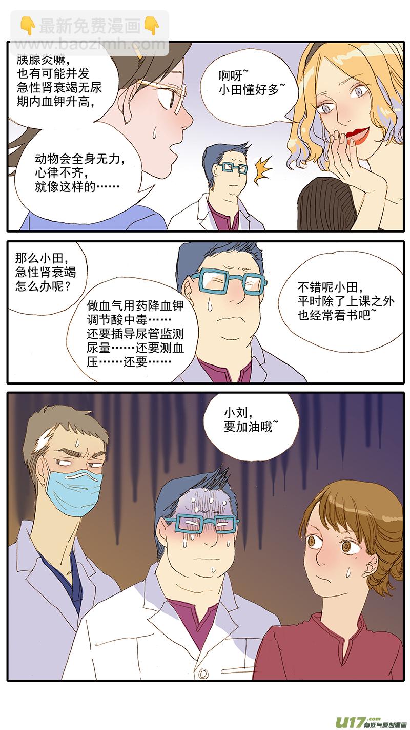 069 犬胰腺炎-第69话
