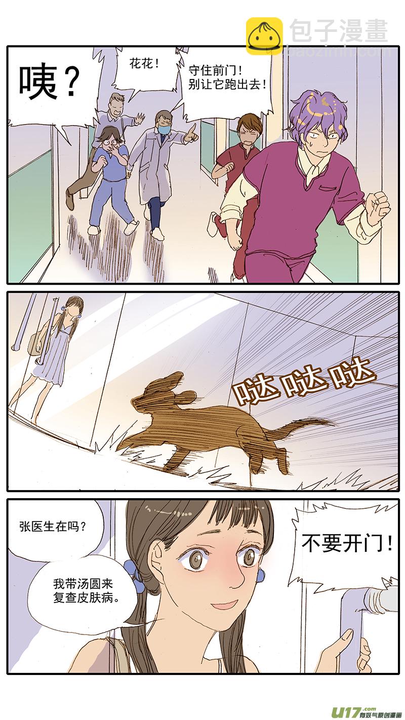071 就诊动物逃逸-第71话