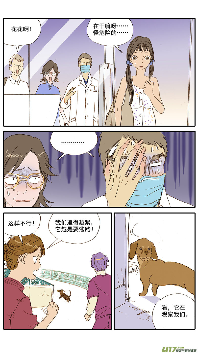 071 就诊动物逃逸-第71话