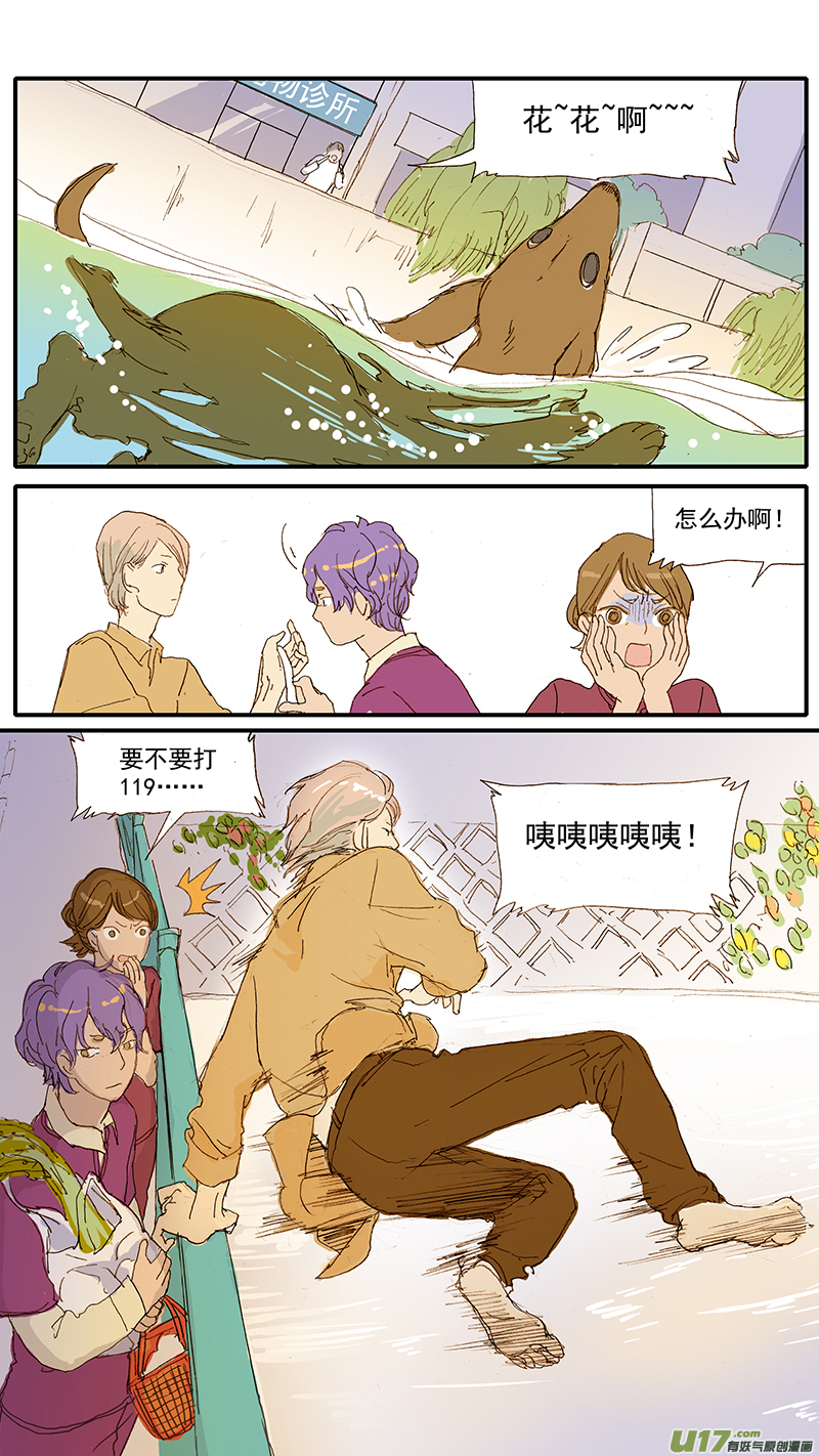 071 就诊动物逃逸-第71话
