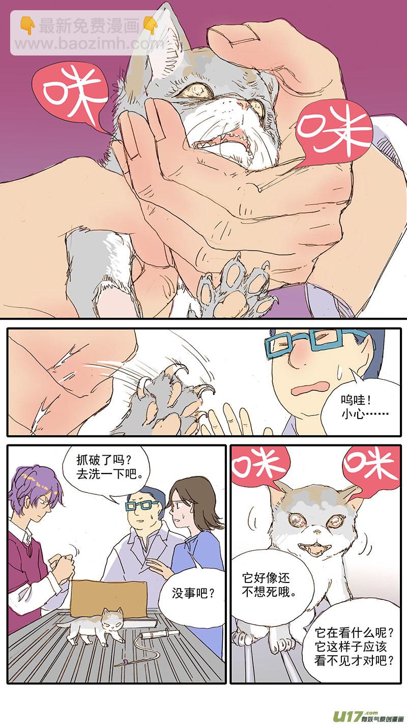 073 角膜溃疡-第73话