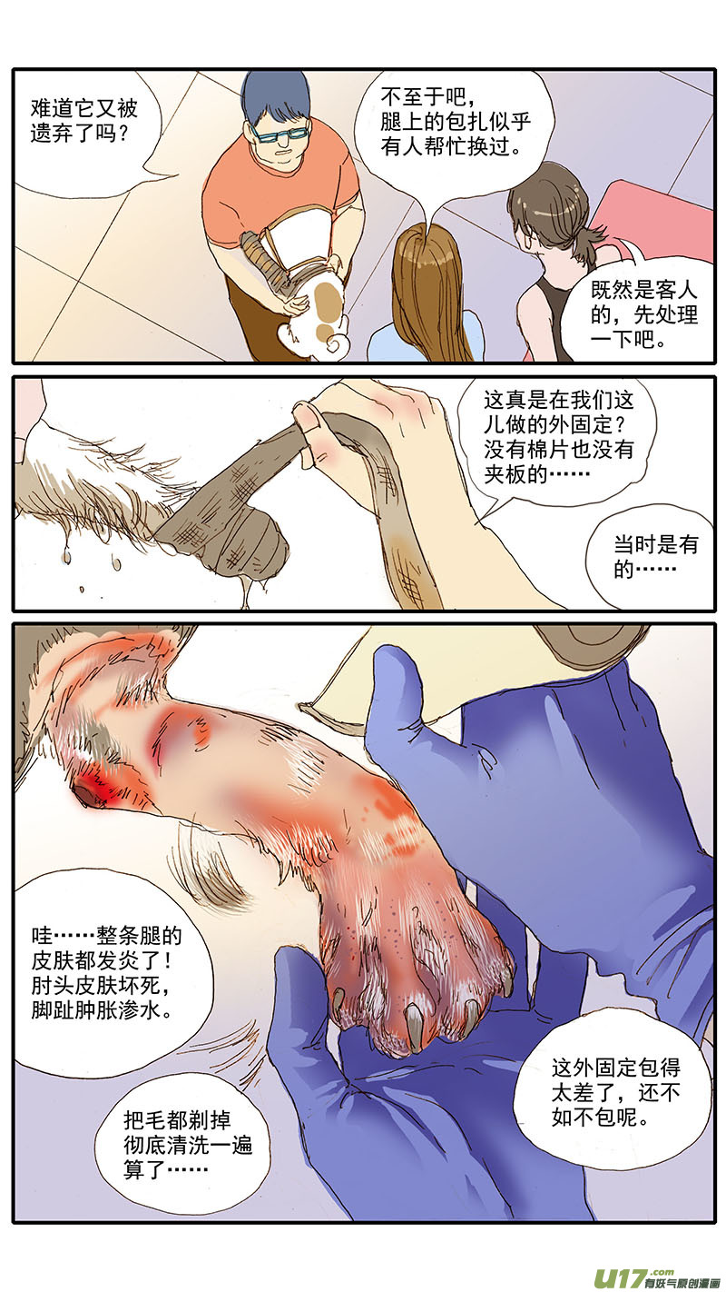 075 骨折愈合-第75话