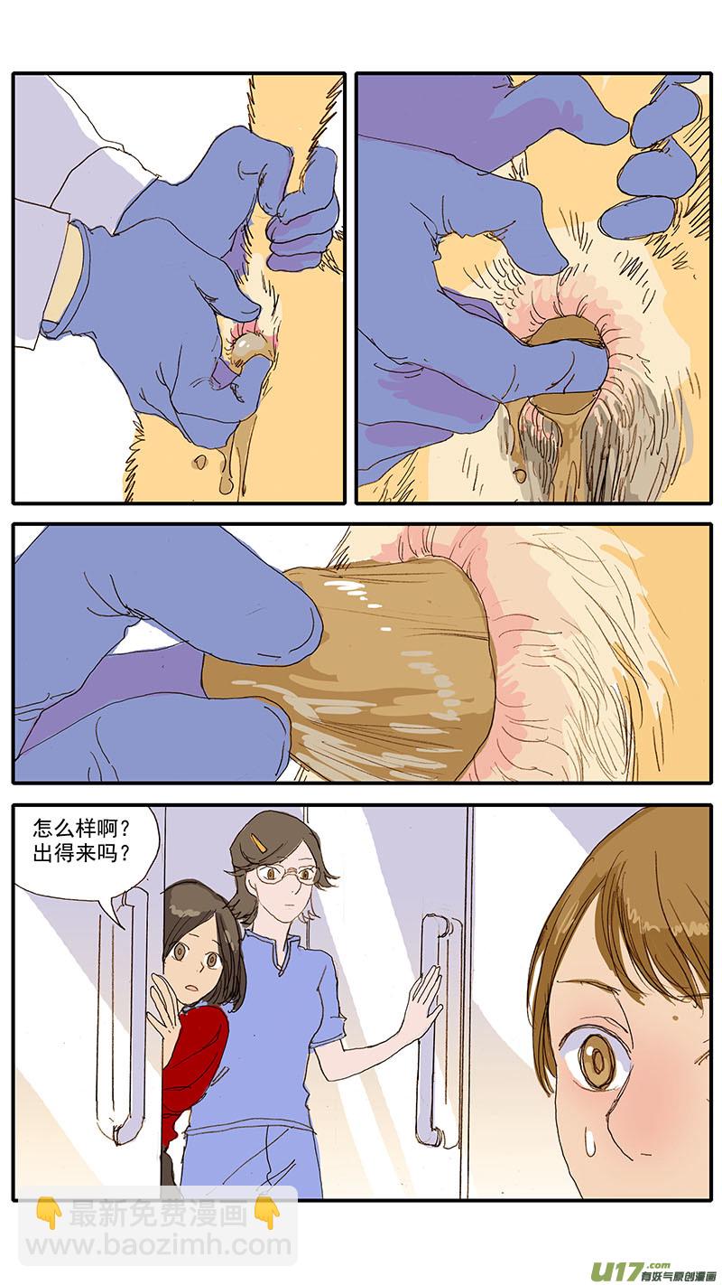 077 犬消化道异物（食物包装）-第77话
