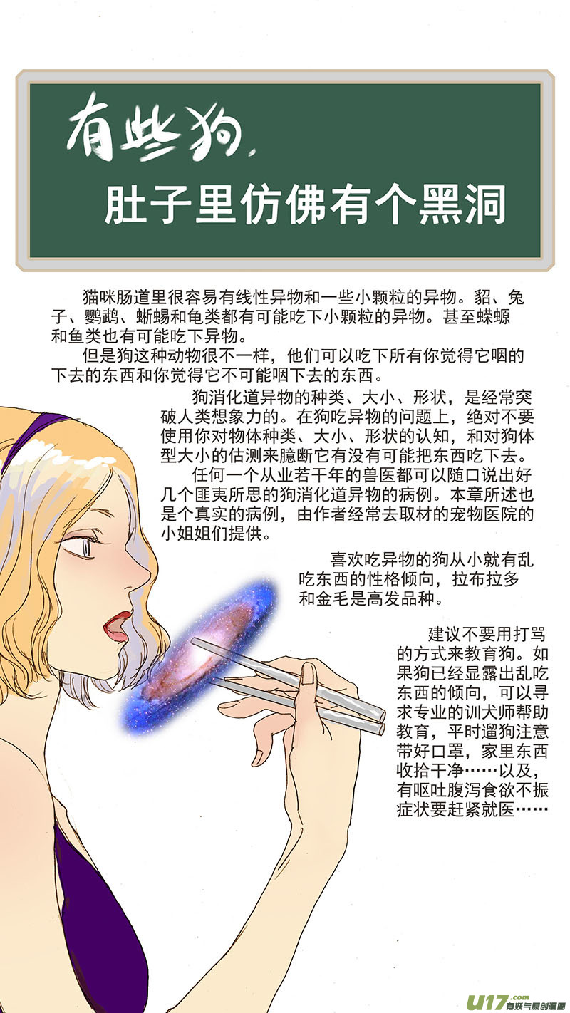 077 犬消化道异物（食物包装）-第77话