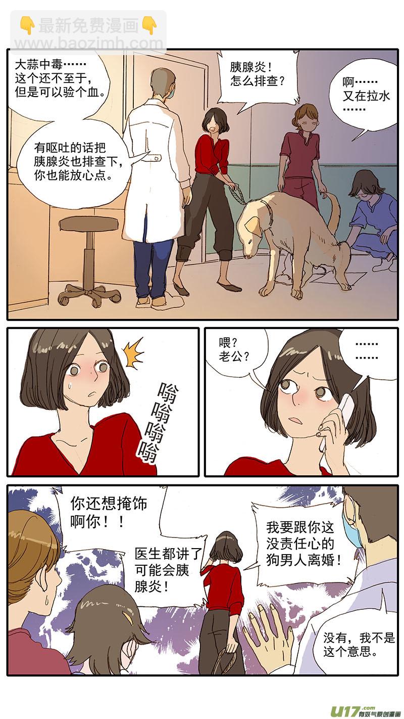 077 犬消化道异物（食物包装）-第77话