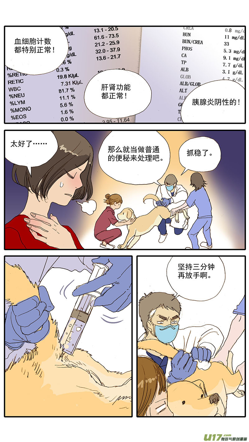 077 犬消化道异物（食物包装）-第77话