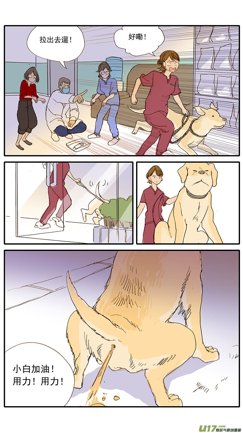 077 犬消化道异物（食物包装）-第77话