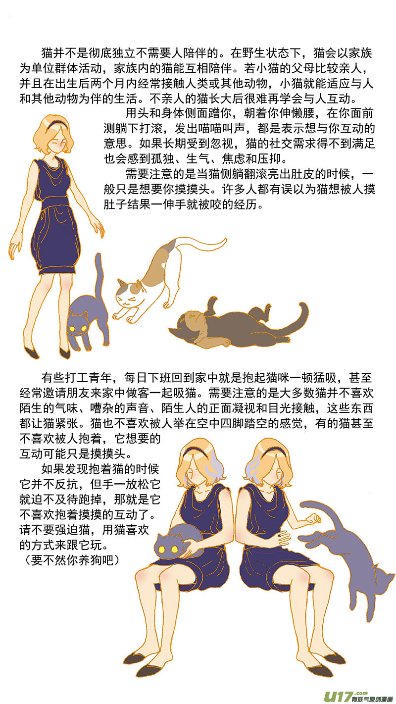 079特别篇超简易养猫指导-第79话