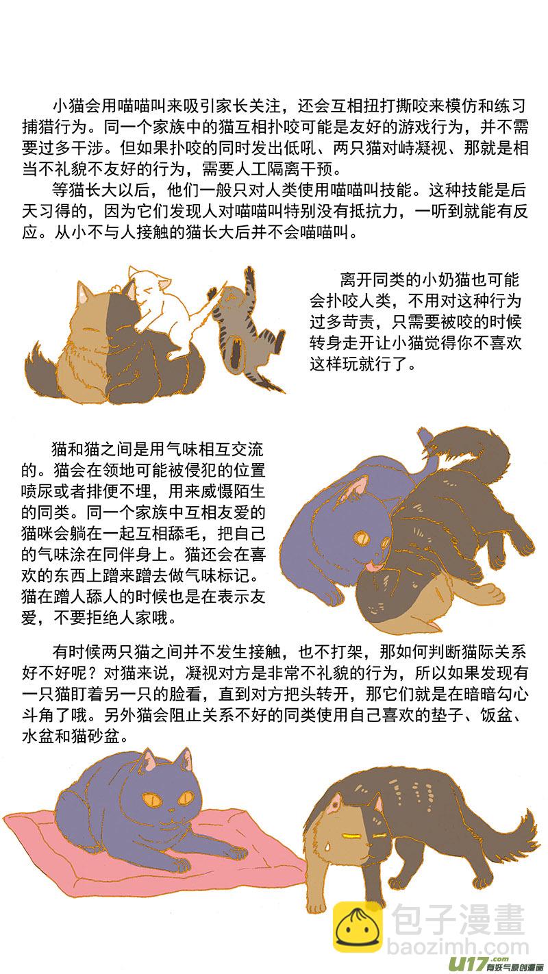 079特别篇超简易养猫指导-第79话