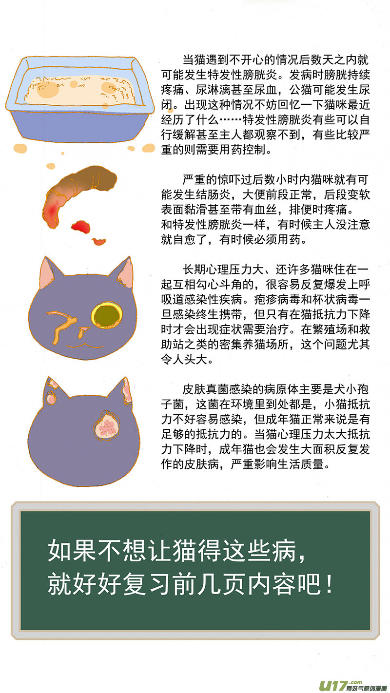 079特别篇超简易养猫指导-第79话
