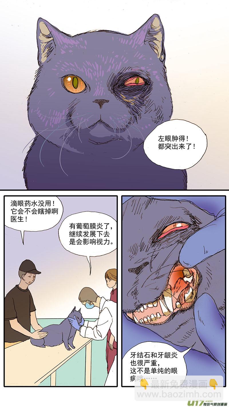 087 齿根脓肿-第87话