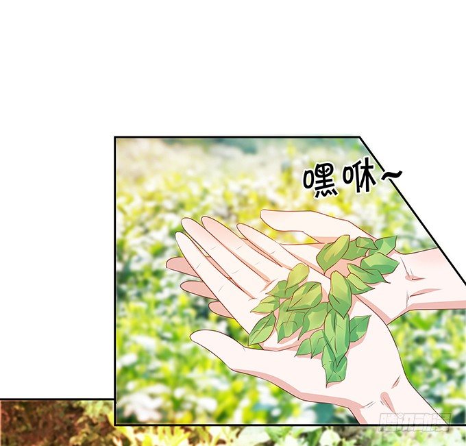 操劳过度的林玖-第73话