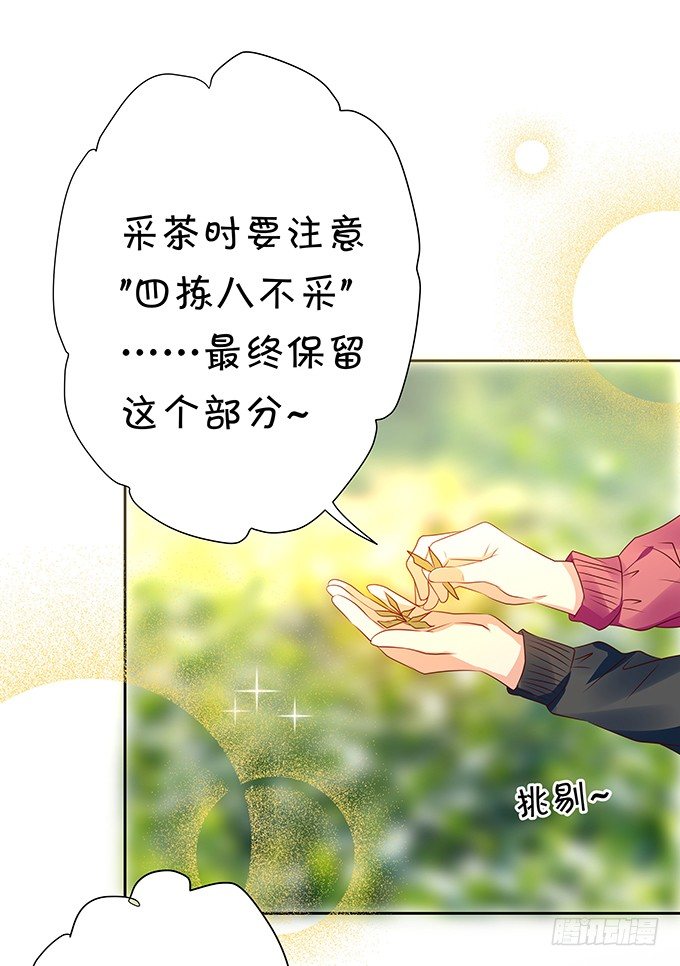 操劳过度的林玖-第73话