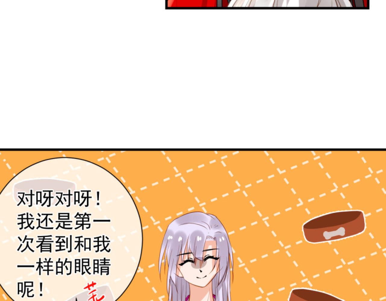 41.反常(1/2)-第41话