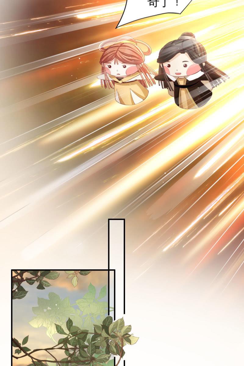 锦桃传承的记忆-第155话
