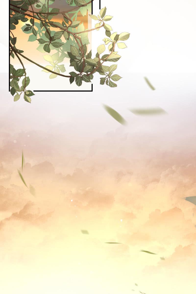 锦桃传承的记忆-第155话