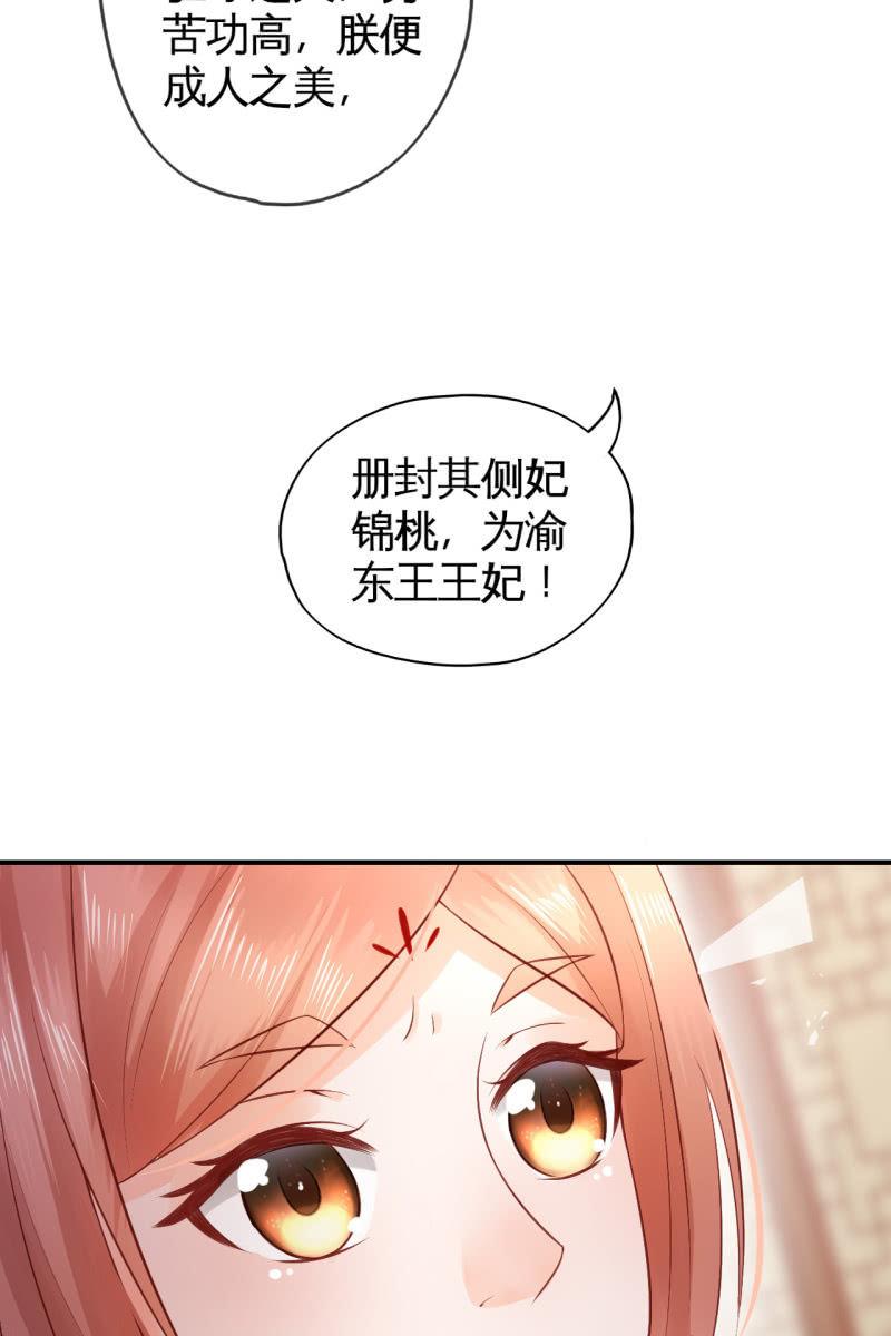 锦桃成为王妃-第75话