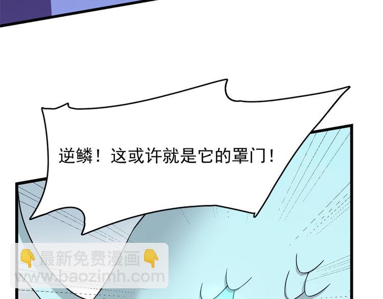 🍵半缘修仙半缘君 第225话 第41页