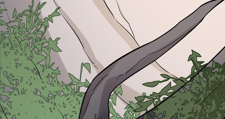 🍵半缘修仙半缘君 第43话 第16页