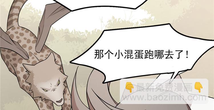 🍵半缘修仙半缘君 第51话 第13页
