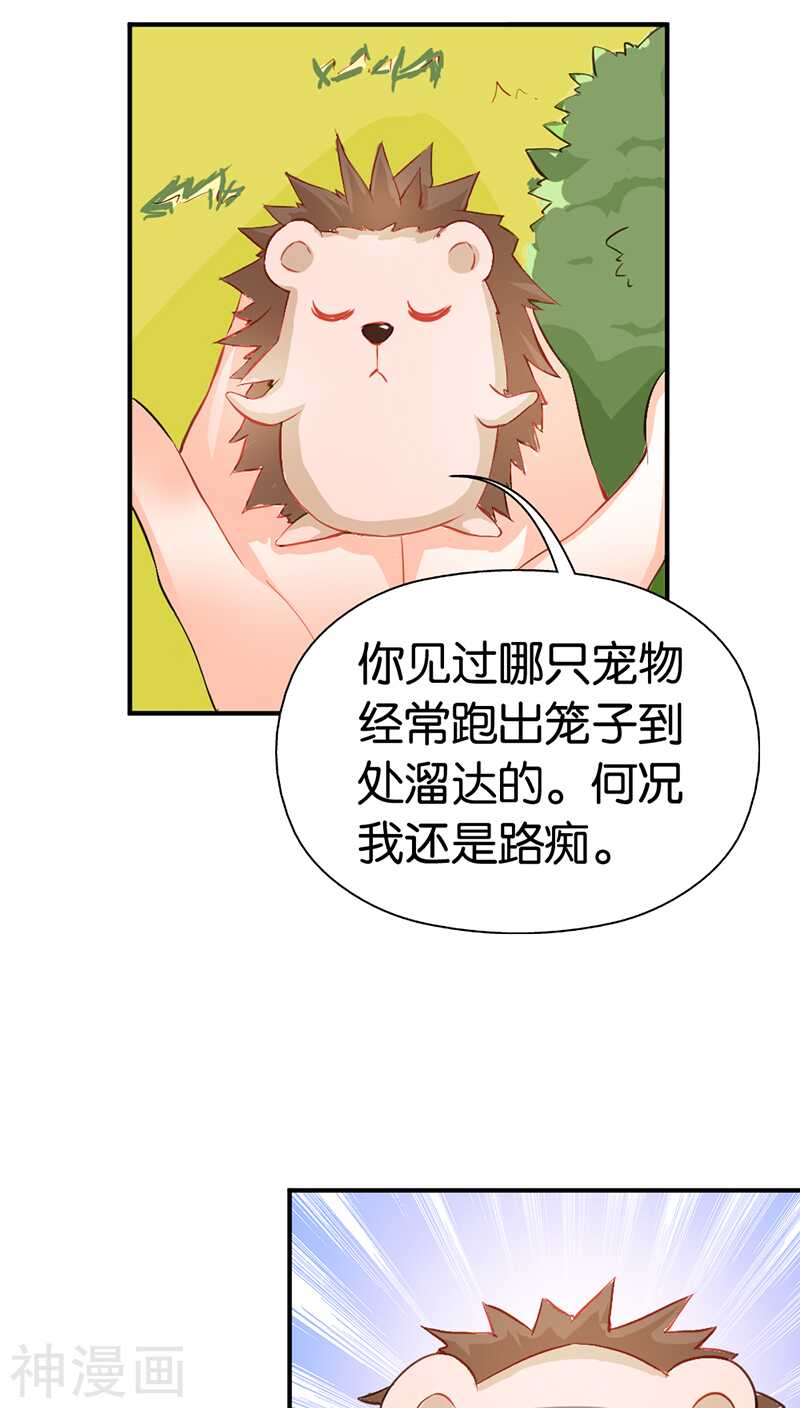第41话 谁敢动我的人！-第41话