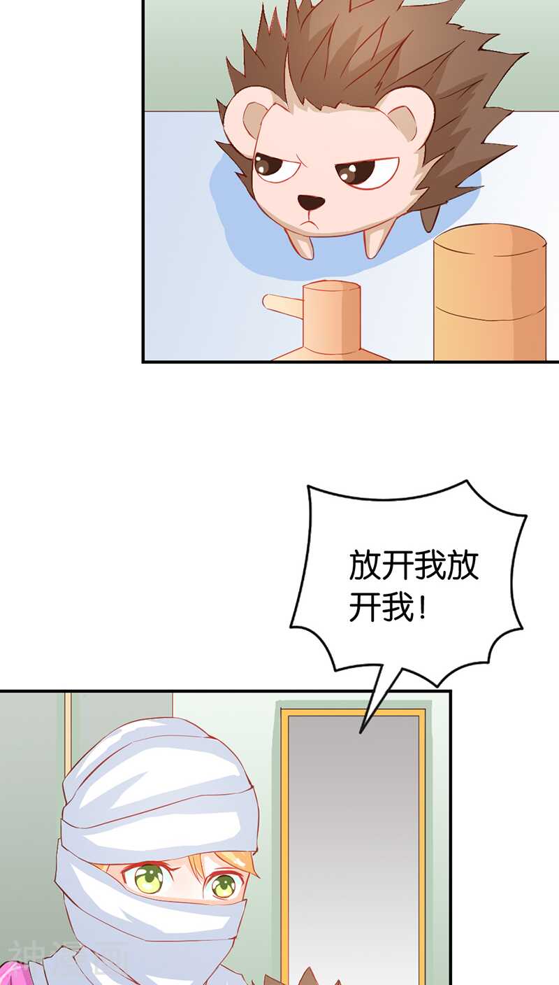 第41话 谁敢动我的人！-第41话