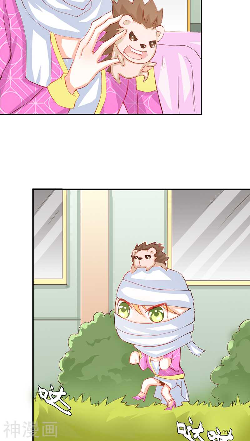 第41话 谁敢动我的人！-第41话