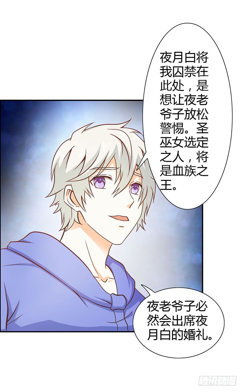 布局-第75话